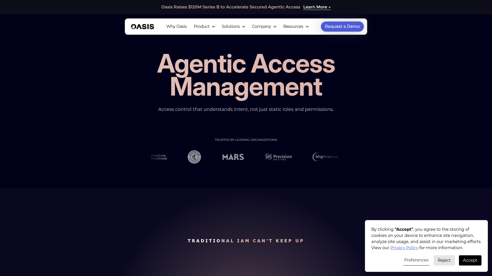 Oasis Security homepage
